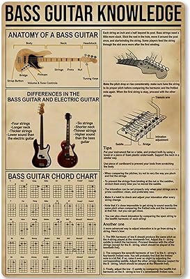 Bass Guitar Knowledge Metal Sign Anatomy of A Bass Guitar Tin Poster Plaque Beginner Home Kitchen Club School Cafe Education Infographic 12x16 Inches