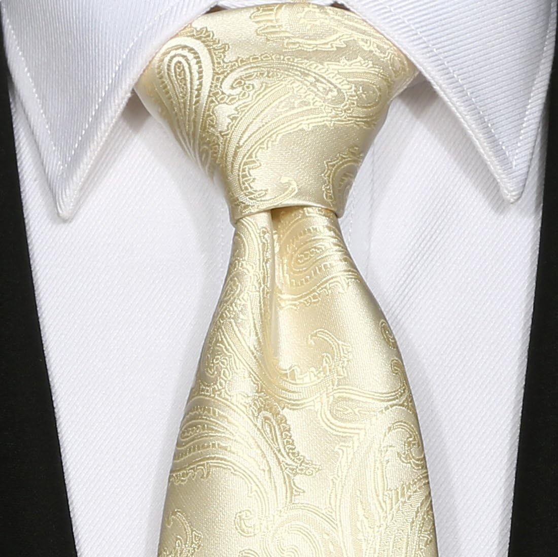 KissTies Mens Necktie Classic Paisley Event Tie + Gift Box