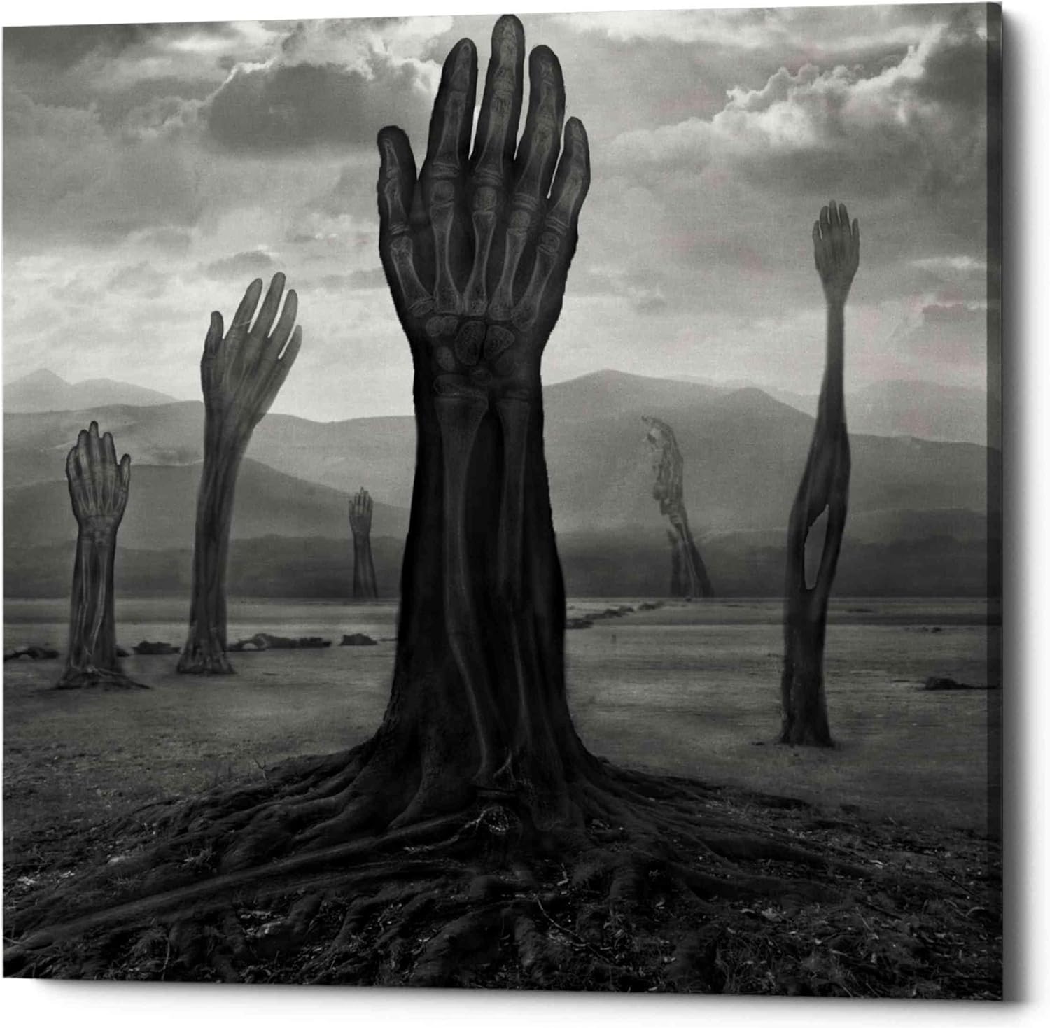 Epic Graffiti 'Rentgen' by Dariusz Klimczak, Canvas Wall Art, 18"x18"
