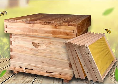 Beehive Box, Beehive Box, Beehive Box, Beehive Box, Beehive Hive, Assembly, Kit, Cedar Tree, Honeycomb House, 10 Frames, Bee Caddle, Boil Wax, Waterproof, Moisture-proof, Insect Proof, Durable,