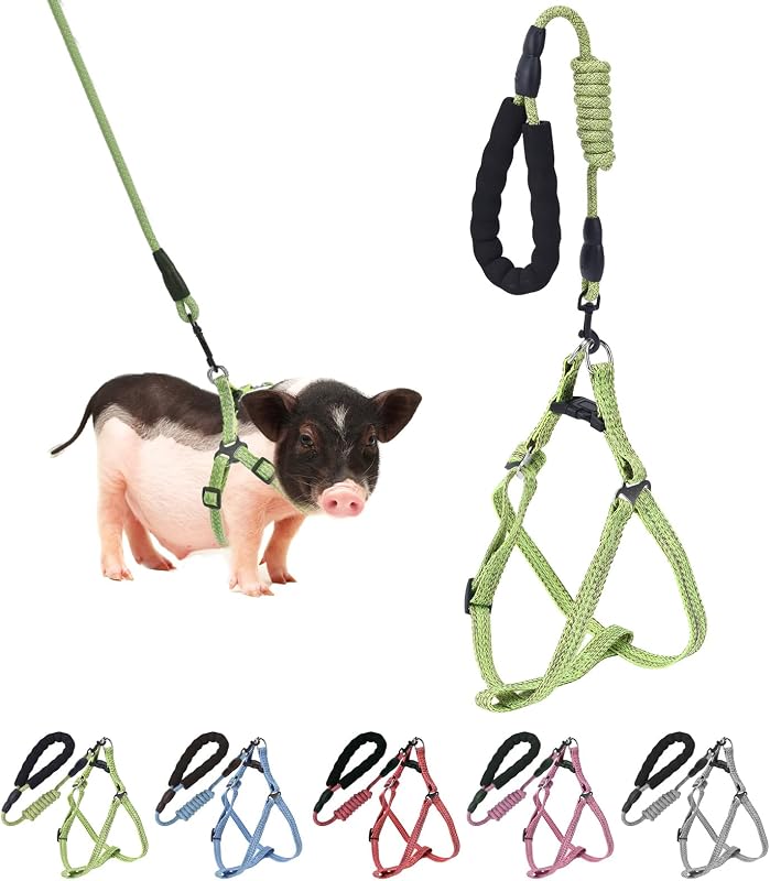 Peitoral ajustável para mini porco YeeBeny com guia e alça acolchoada verde, tamanho M