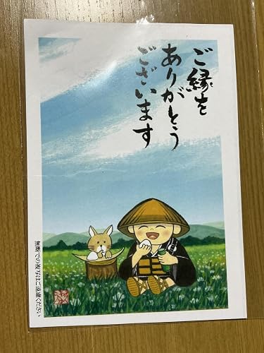 Amazon.co.jp: 鉢 KANEYOSHI 【日本製/安心の国産品質】 陶器 植木鉢