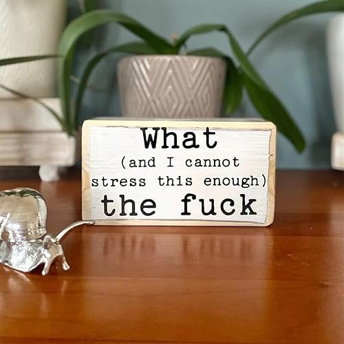 Decoración divertida con eslogan creativo de personalidad creativa para escritorio de oficina, bloque de madera, adornos (A)