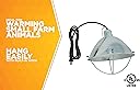 Thumbnail 12