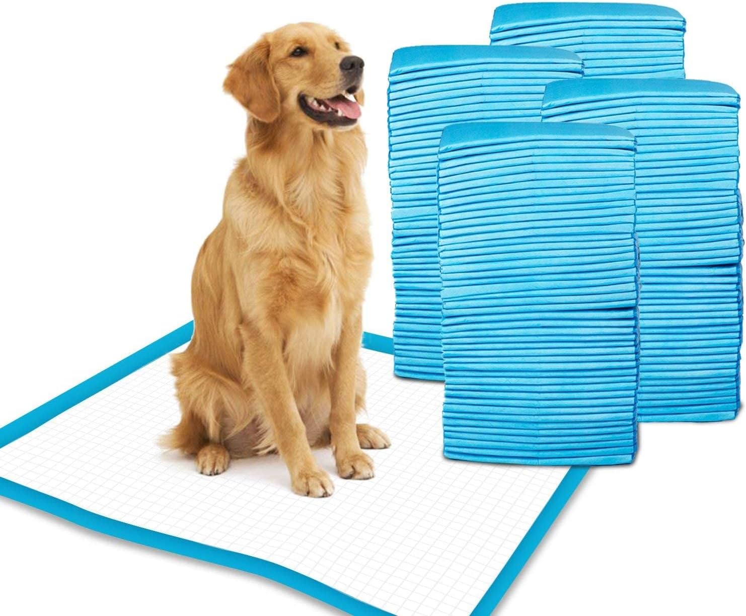 Patch & Marshall Pet Training Pads with Adhesive Floor Tape,Heavy Duty,Rapid Dry & Absorbent Core, Suitable for Puppies,Small,Medium,Large Dogs (60, 60 x 90 cm - XL)