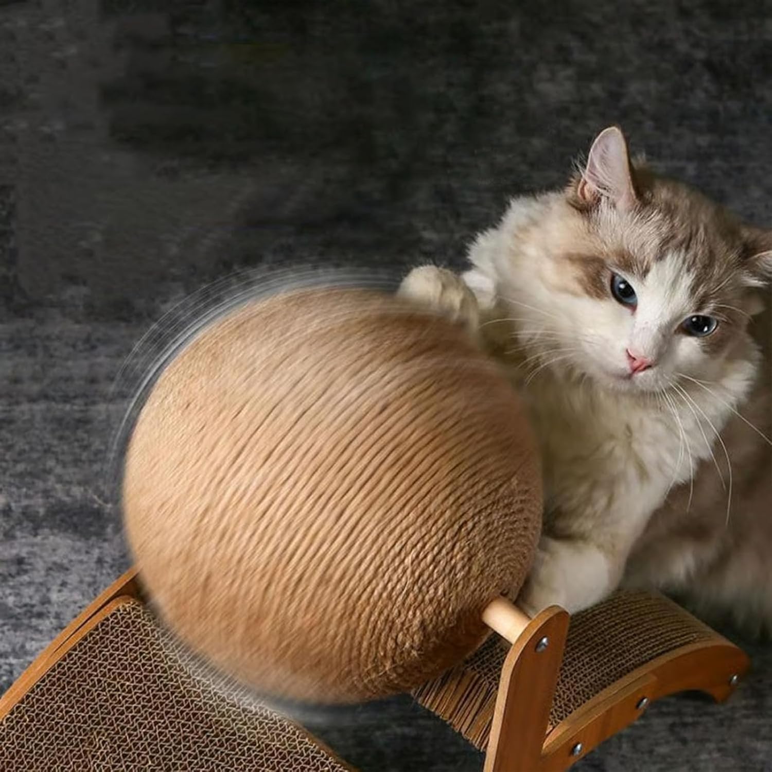 Cat Scratching Ball on Stand, Solid Wood Interactive Cat Scratcher with Arch Bridge and 360° Rotating Ball, Solid Wood Cat Scratch Toy, for Indoor Cats & Kittens (L)