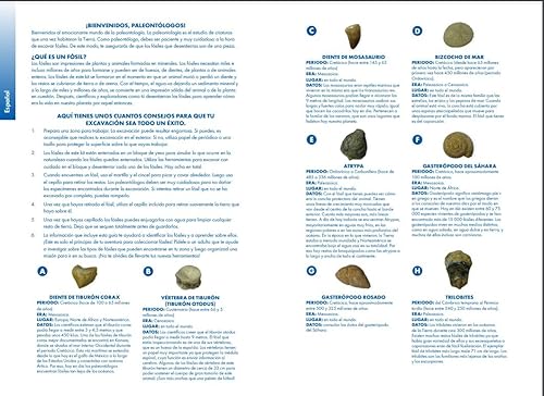 Miniatura 8 de Educational Insights GeoSafari - Kit de excavación de fósiles, kit de ciencia para niños, juguete de ciencia de dinosaurios, a partir de