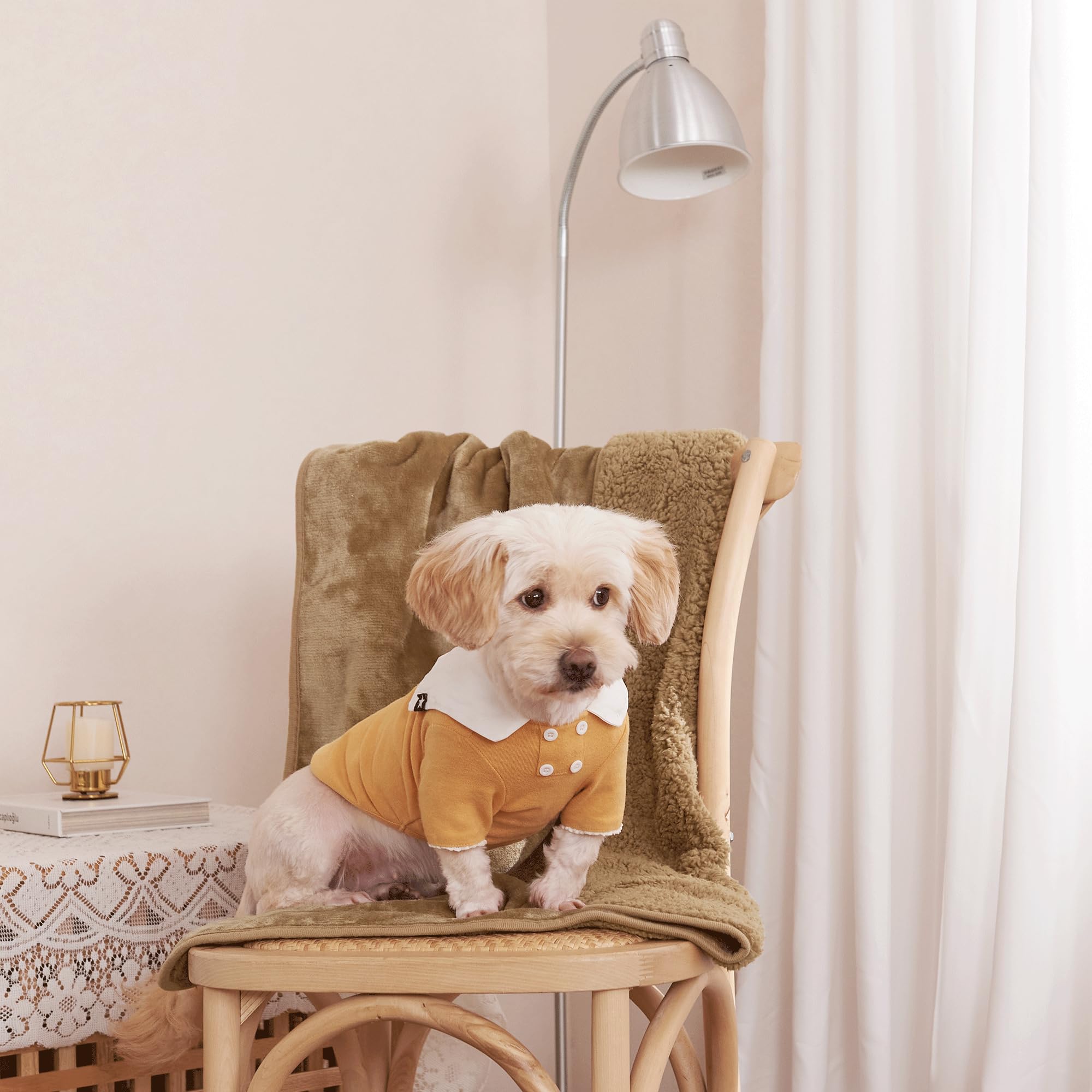 Couverture imperméable en polaire Sherpa petit chien chat 61cm