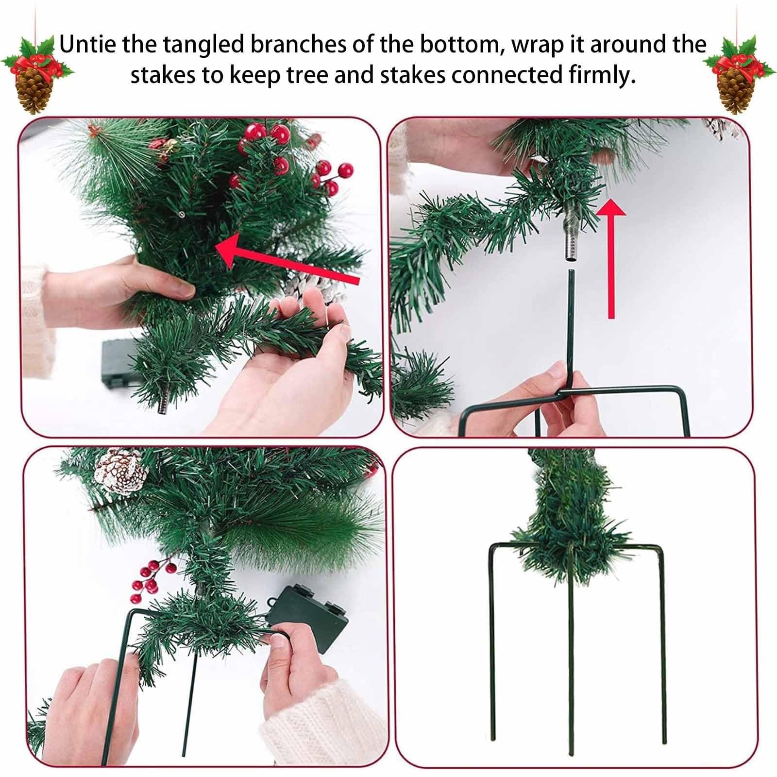 View 4