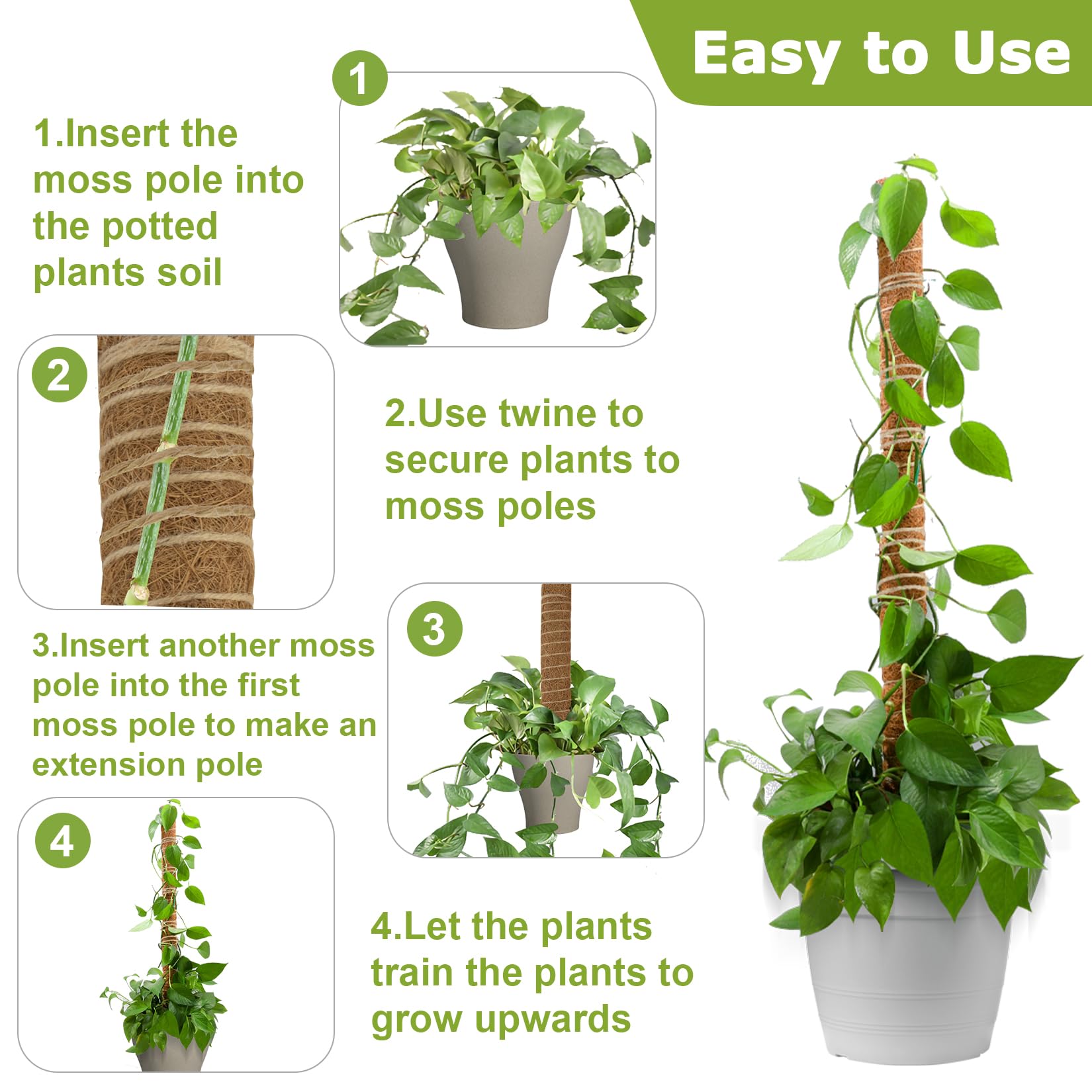 Amazon.com : Sukh Moss Totem Pole - Moss Pole for Plants