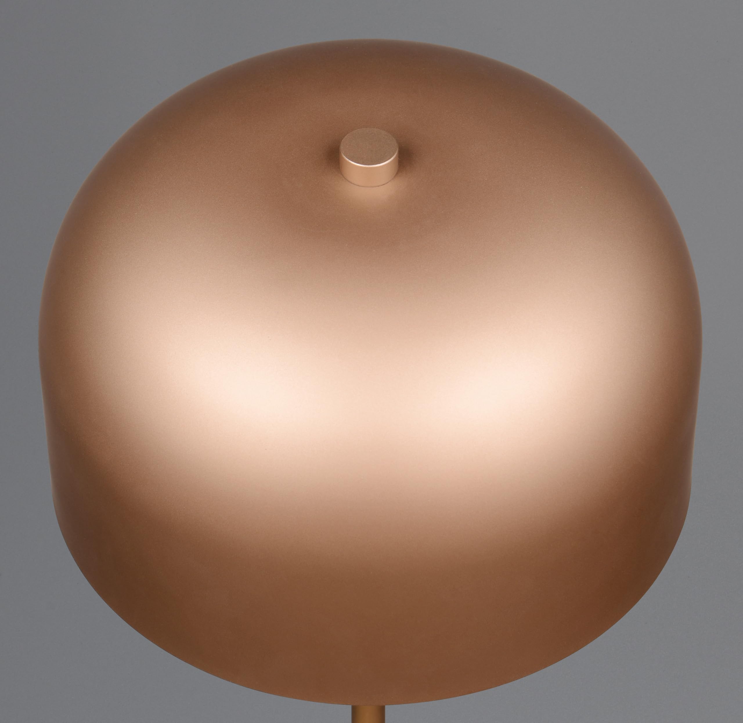 Reality Leuchten lampa stojąca LED z akumulatorem Jeff R49151165, metalowa kawa, w zestawie 2,5 W LED