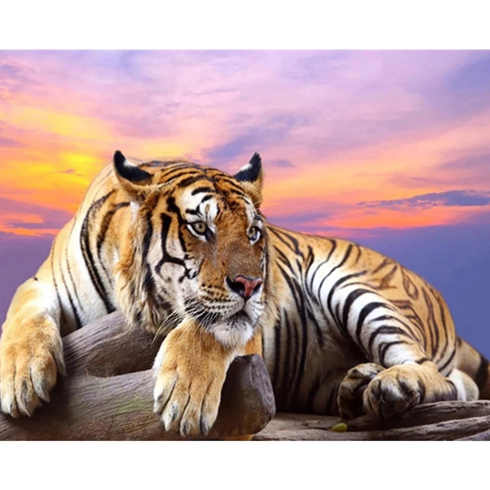 Kreative Puzzles 3000 Stück Tiger Bunte Puzzles FüR Erwachsene Ab 14 Jahren, Perfekt FüR Weihnachten 3D-Puzzles FüR Erwachsene Fertige Größe 122×81cm