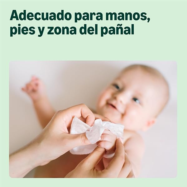 by Amazon Toallitas refrescantes para bebé, 1008 toallitas, sin perfume, 18 paquetes de 56 (anteriormente era la marca Mama Bear, pero es el mismo producto) - 4