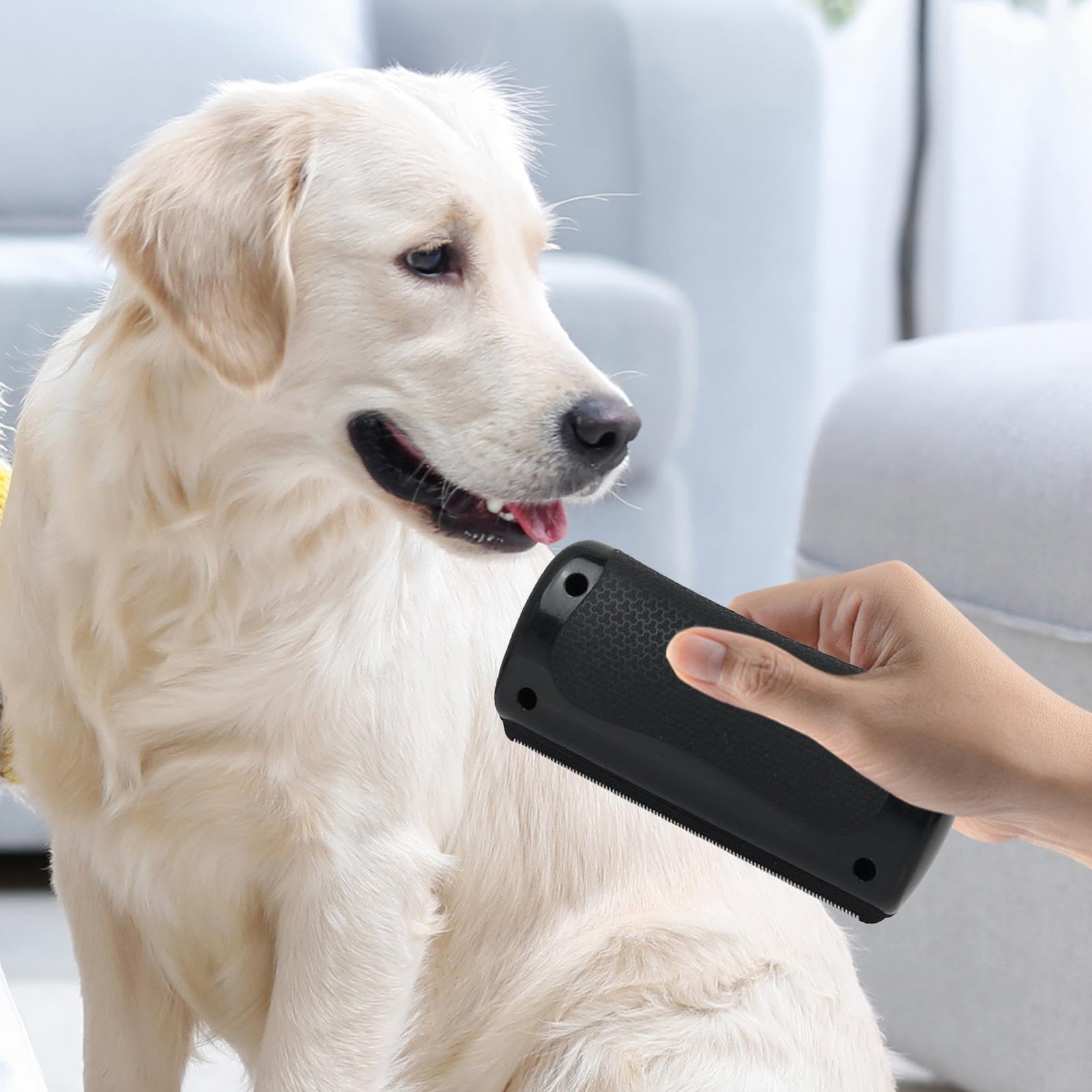 Brosse Chien, Brosse Sublime Poil Chien, pour Eliminer Efficacement des Tomentose sous-Poil Tangles, Adapté pour Les Chiens Chats Cheveux Courts Et Long (1pc)