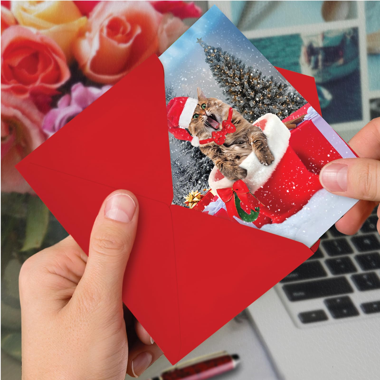 The Best Card Company C3195FXSG-B12x1 Lot de 12 cartes de vœux de Noël avec enveloppes Motif chaton dans une botte (11,9 x 17 cm)