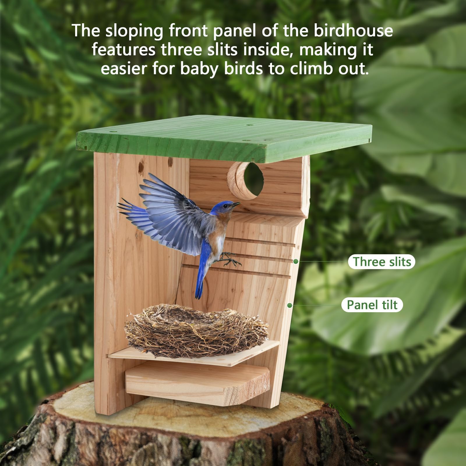 Amazon.com: 3/4 Inch Thick Cedar Bird House with Metal Predator