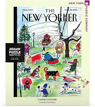 71YS6ikV0OL._AC_UF350,