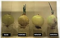 Vista 6 de Sal de bambú número 1 de Corea: púrpura 9X, cristal, 8.47 onzas