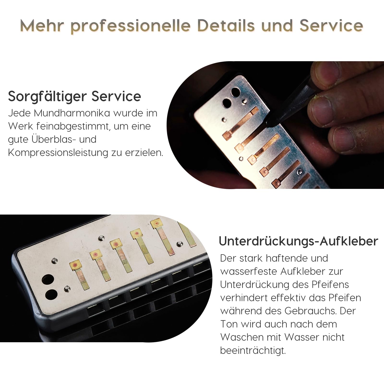 JDR Blues Mundharmonika für Erwachsene – C Assassin, schwarz | Professionelle Spieler, Bühnenauftritte, wärmebehandelte Blätter, Anti-Pfeif-Design, luftdichte Konstruktion