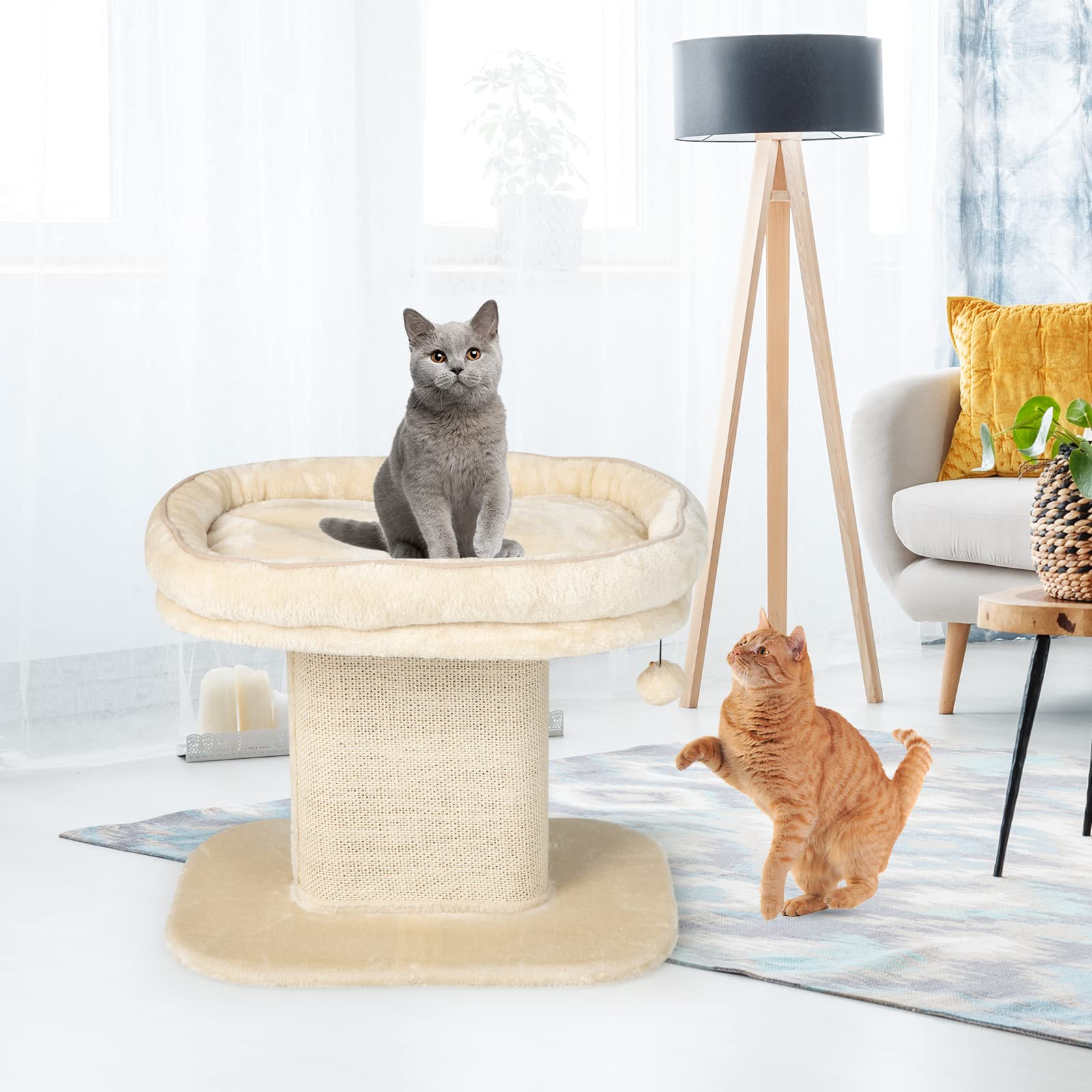 COSTWAY Kratzbaum Klein, 50cm hoch, Katzenbaum mit weicher Plüschsitzfläche & Sisal-Kratzsäule & Ball, Katzenkratzbaum Holz, Katzen Katzenmöbel Kletterbaum, Aktivitätsbaum Spielbaum (Beige)