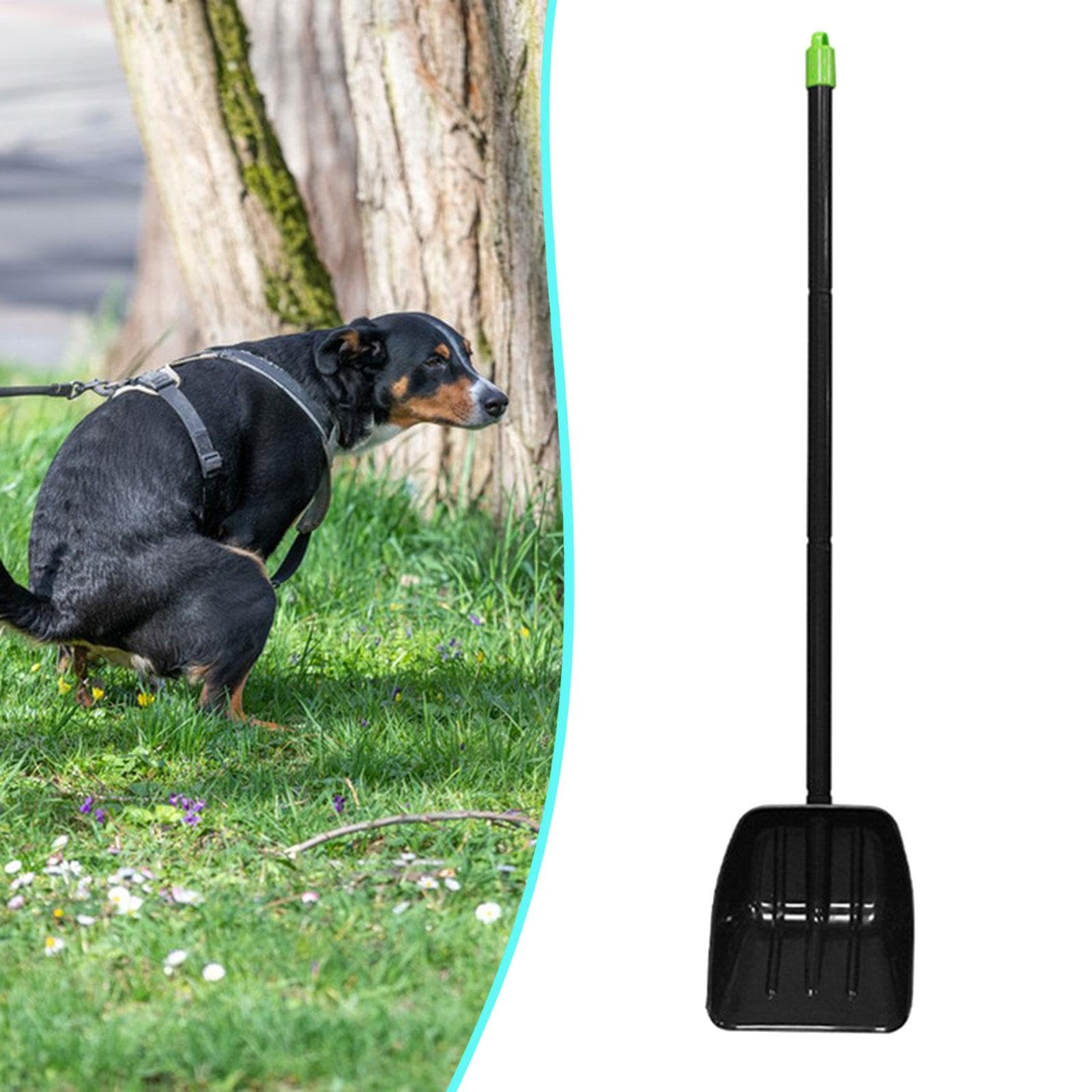2 Piezas Recogedor de Excrementos de Perro Robusto Pala de Limpieza Manual Utensilios para Mascotas Livianos Fabricados en Material PP Adecuada para J, 1 Pieza, Individual