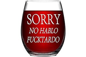 Sorry No Hablo Fuxktardo Wine Glass: Snarky Adult Humor Gift
