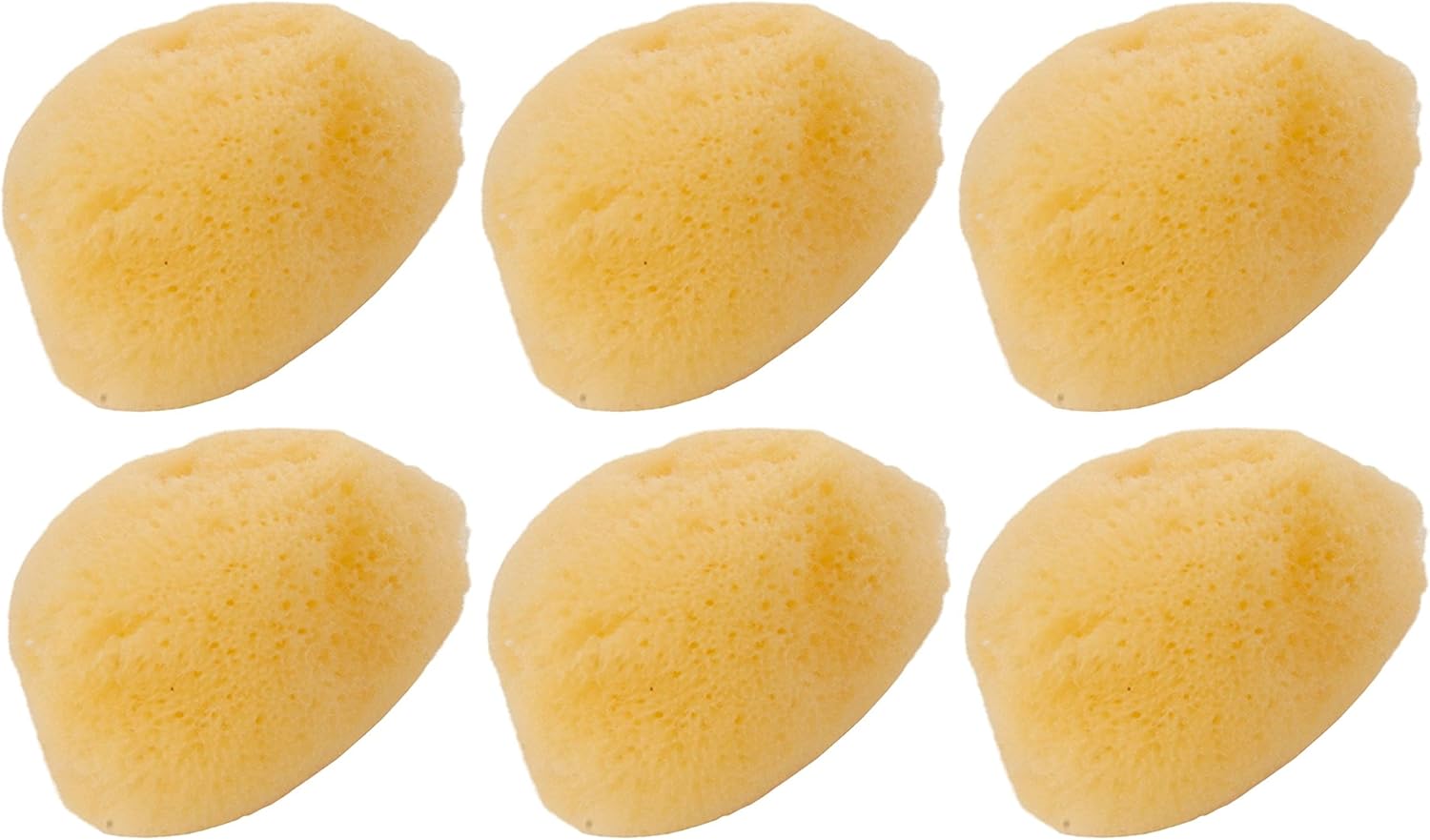 Zoo Med 6 Pack of Hermit Crab Sea Sponges