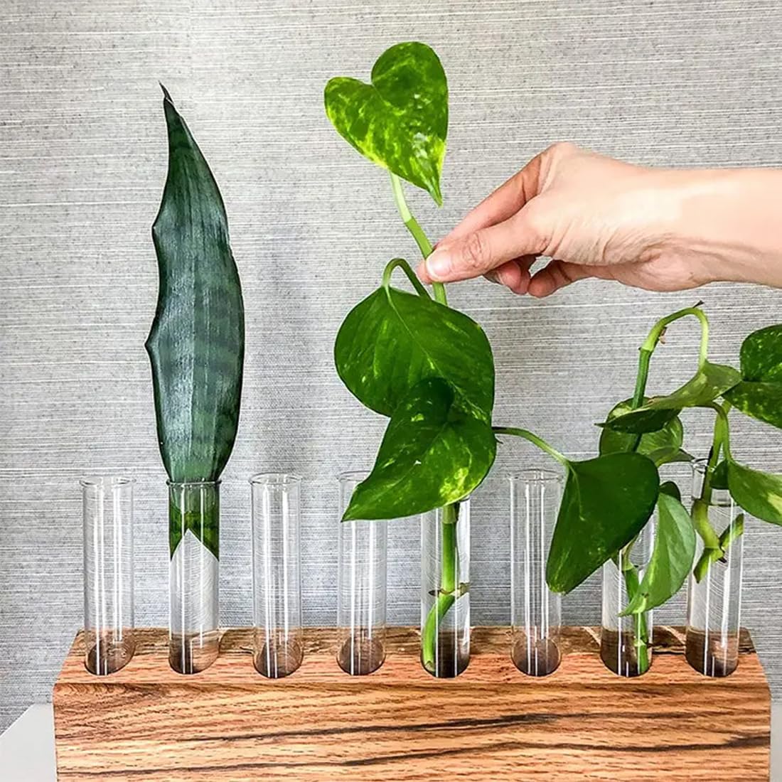 Provette In Vetro 12x75 Mm Con Tappi Di Sughero - 5 Pezzi, Per Analisi, Decorazione O Conservazione - Foto 9