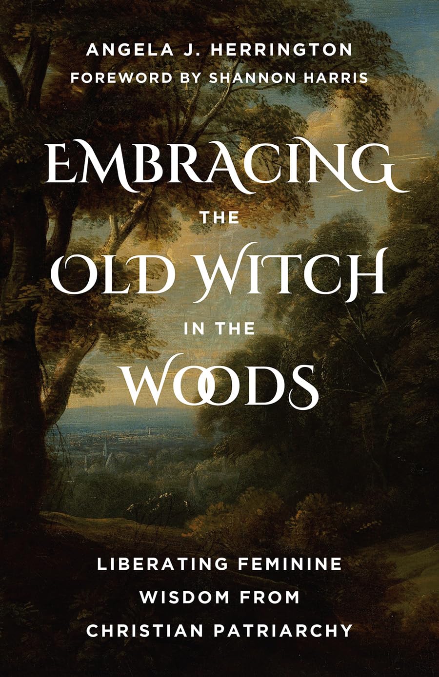 Embracing the Old Witch in the Woods by Angela J. Herrington (Paperback Book)