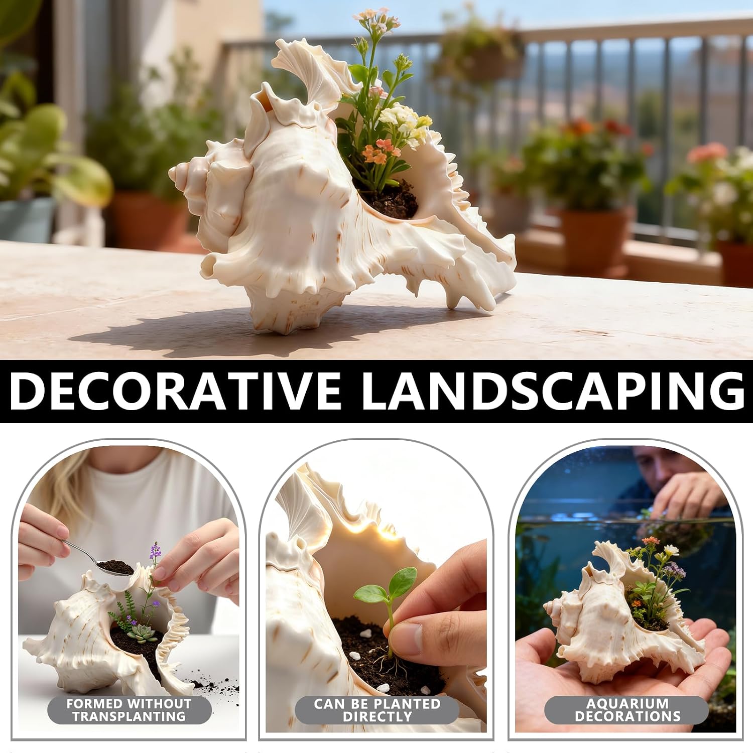 6 Pack Conch Shells, 4‘’ to 5‘’ Natural Conch Shell for Fish Tank, Aquarium Decorations, DIY Crafts, Air Plant Holders (6 Pack)