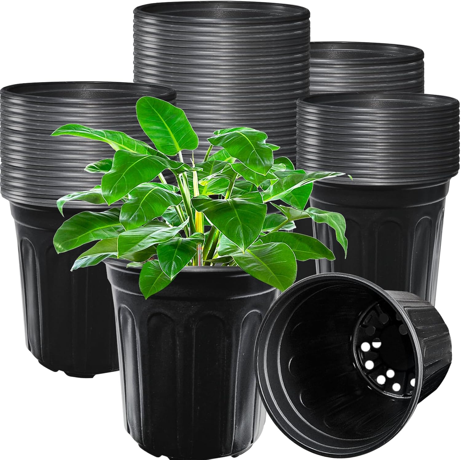 Jgalnim 60‑Pack 1‑Gallon Nursery Plant Pots