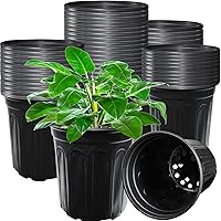 Jgalnim 60 Pack 1 Gallon Nursery Pots - Thickened Flexible Black Plastic Seedling Pots with Drainage Holes for Succulents, Cuttings & Gardening