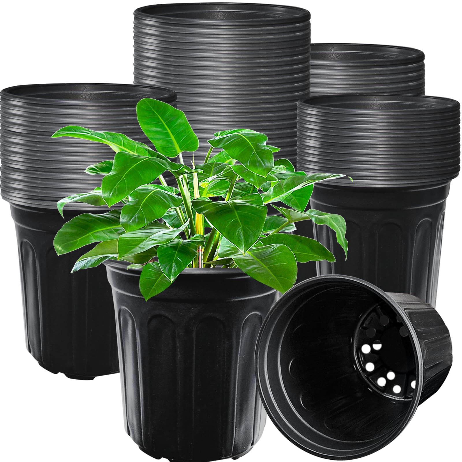 Jgalnim 60-Pack 1 Gallon Nursery Pots