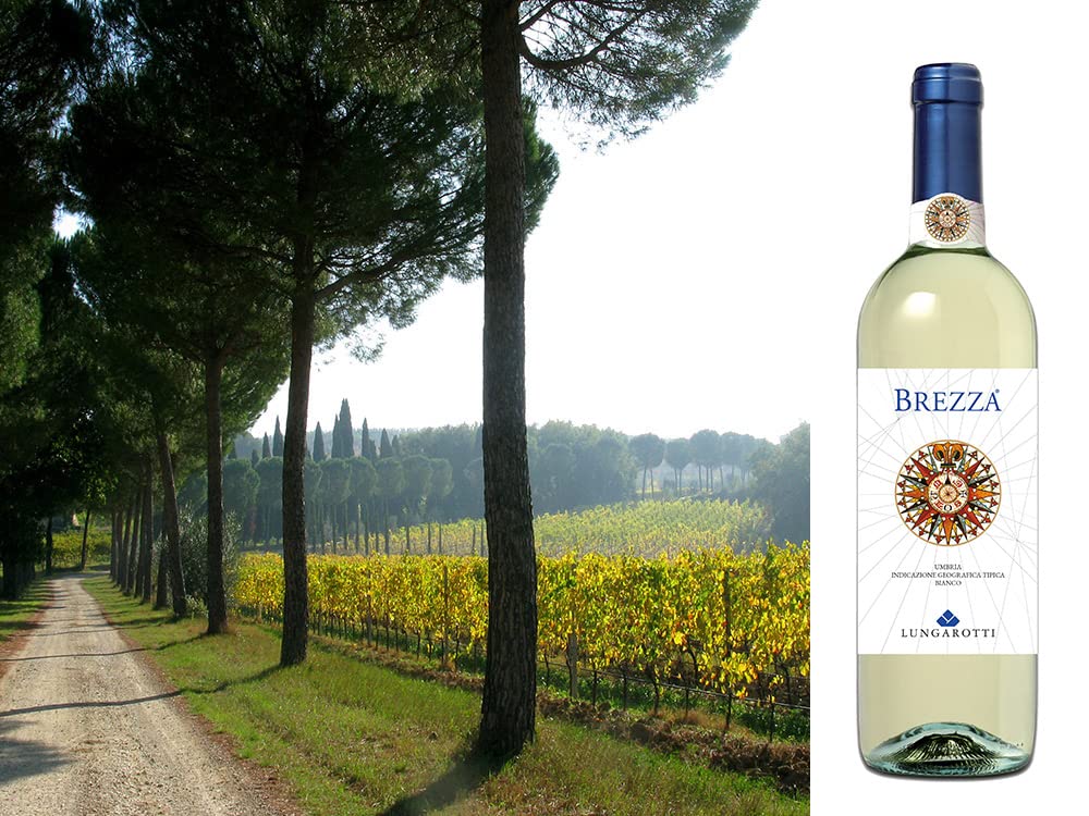 Brezza Bianco Umbria IGT von Lungarotti Weisswein Italien, 750ml (Packung mit 6)
