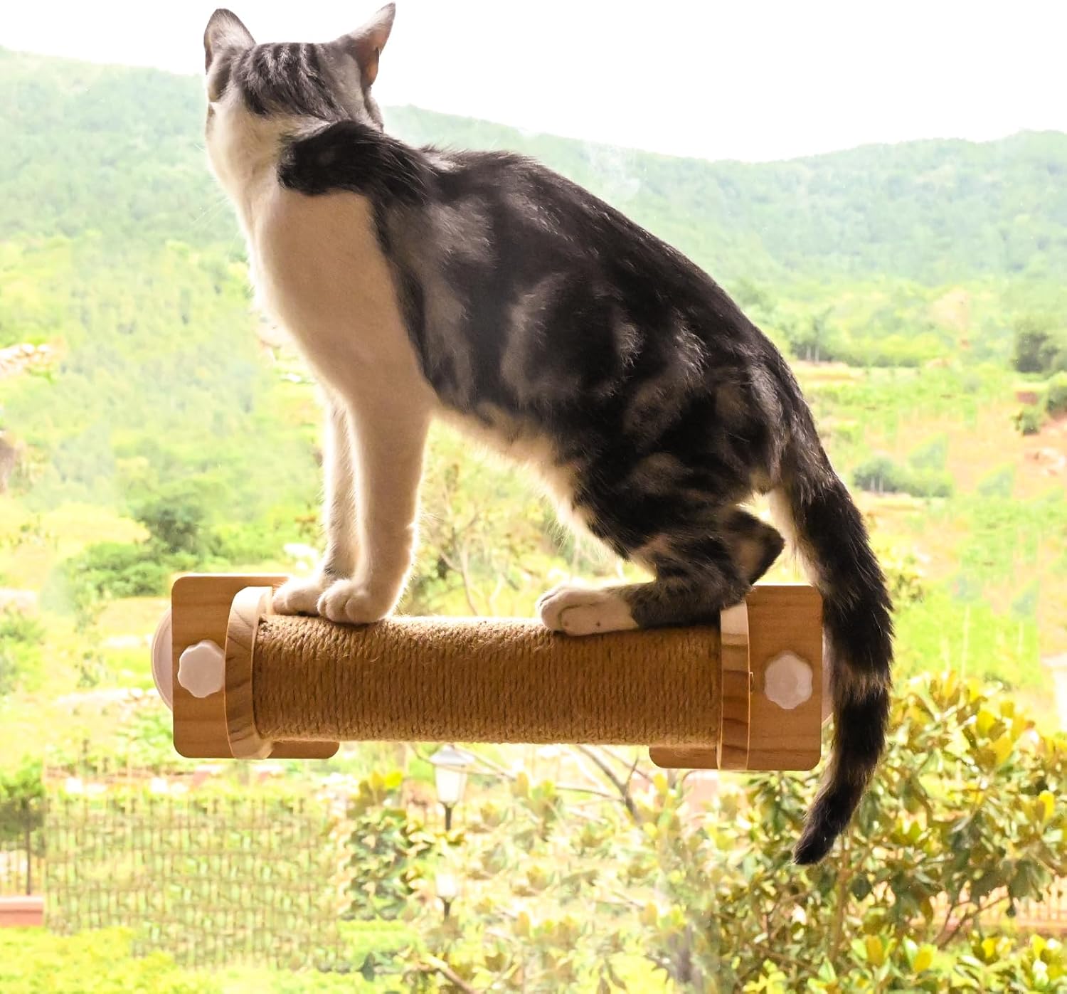 review Cat Window Perch Hammock with Climbing Steps and Scratching Post Wooden Window Mounted Stairs Cat Bed for Indoor Cats (A)