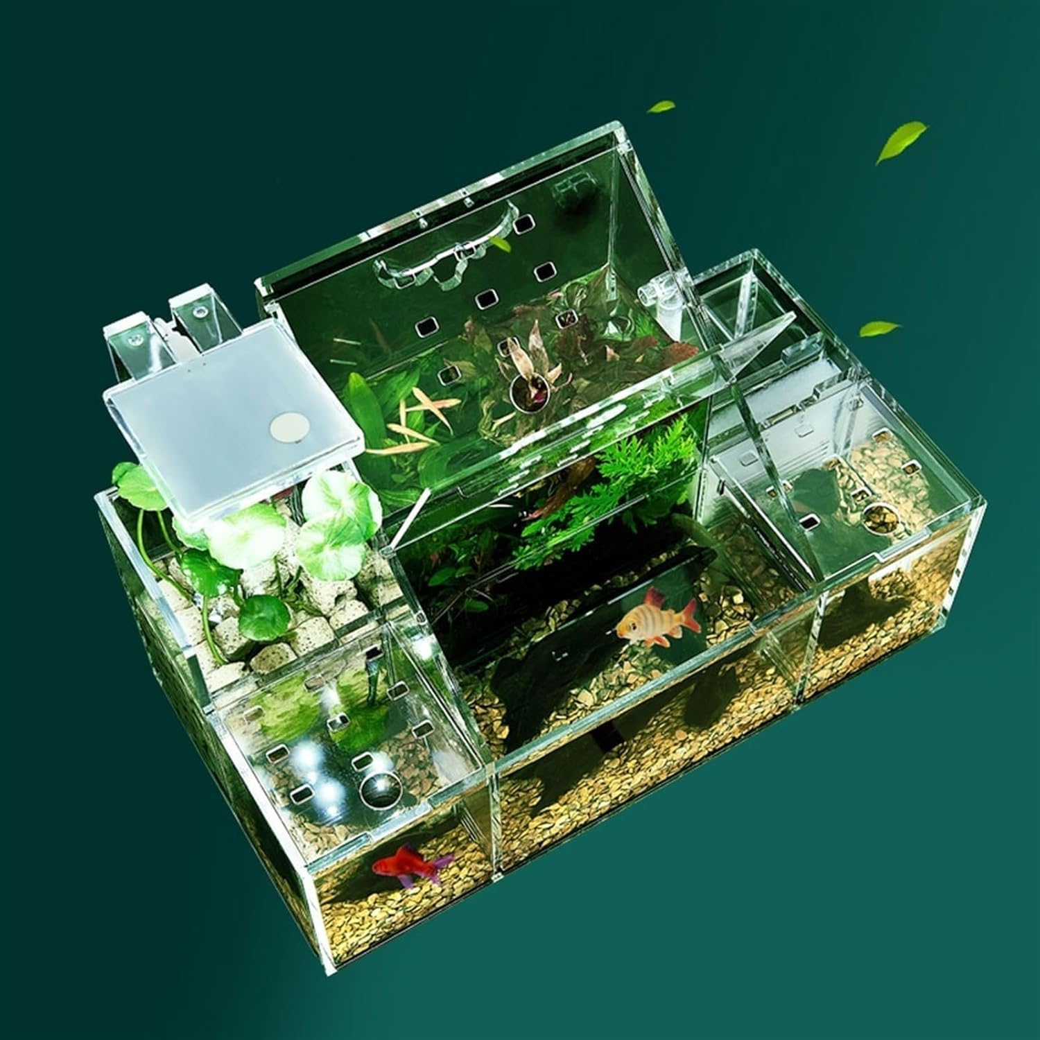 Castillo de hormigas de acrílico Caja de aislamiento especial for incubación de acuicultura de escritorio, bomba de filtro de agua circulante, decoración for pecera de oficina en casa, pecera for pece