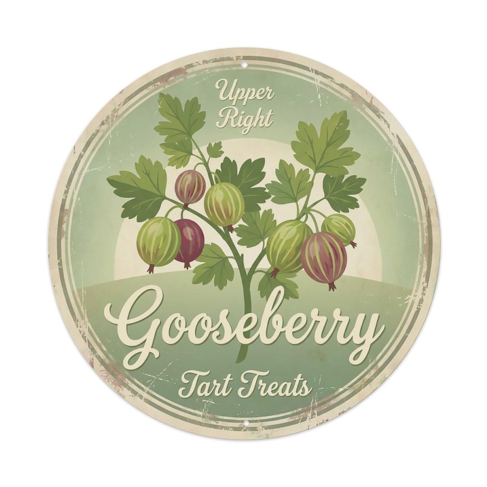 Cxhjca 8X8inch(20X20cm) Vintage Cottagecore Garden Gooseberry Tart Green Metal Tin Sign
