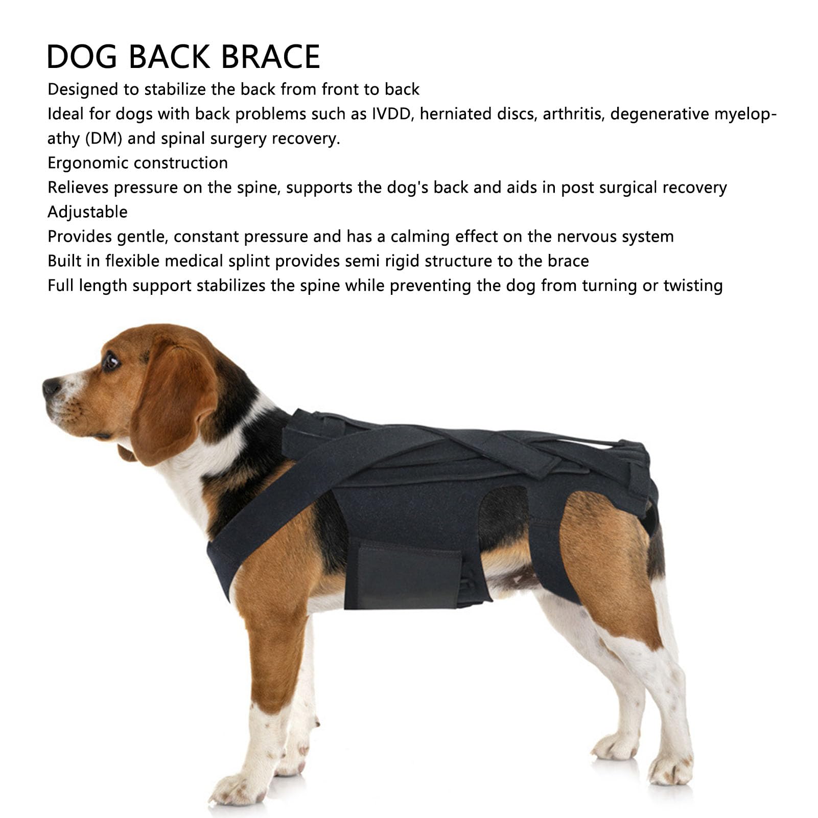Amazon.co.jp: 犬のバックブレース、IVDD、関節炎、脊椎外科的