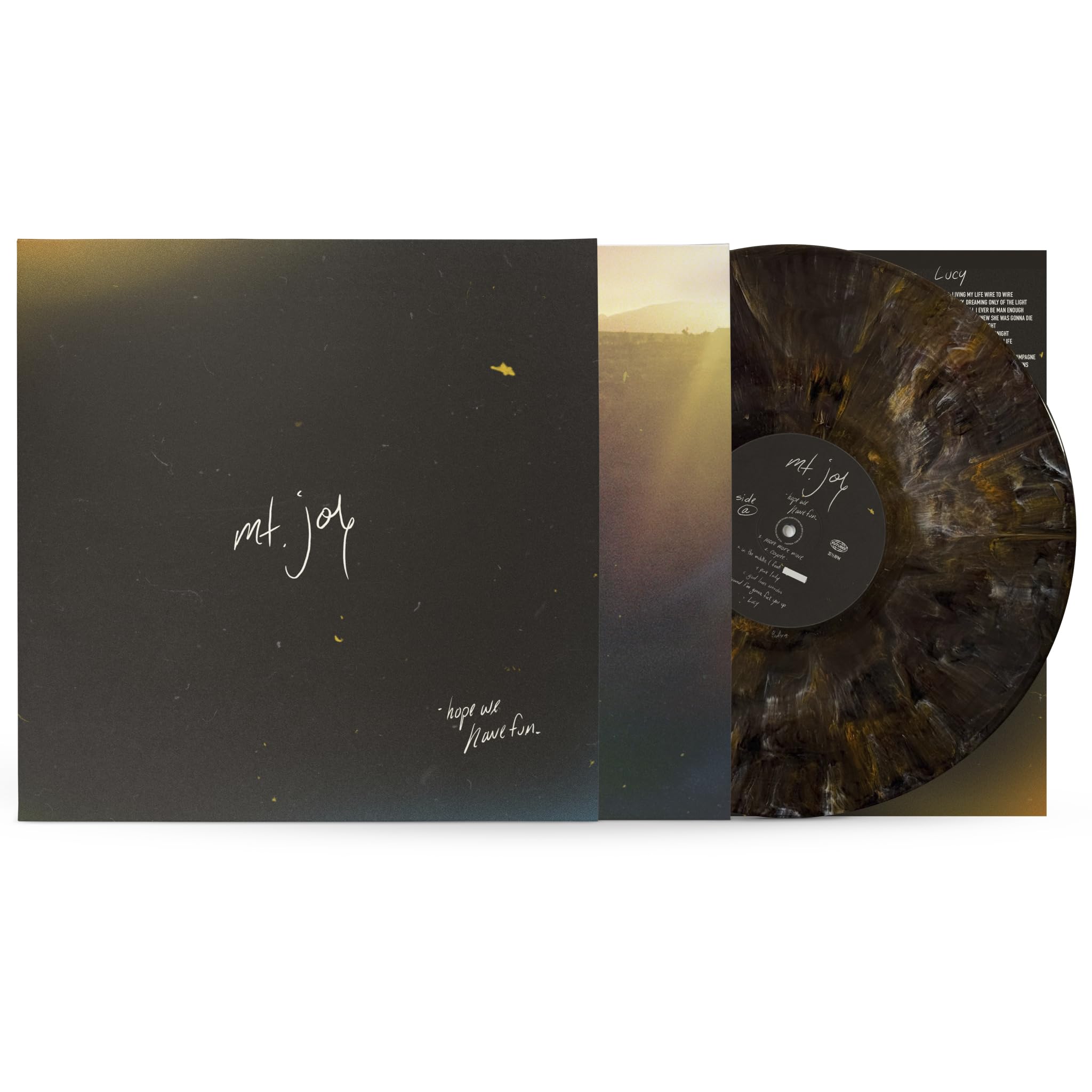 Hope We Have Fun (Jackson Coyote Brown Vinyl) [VINYL]