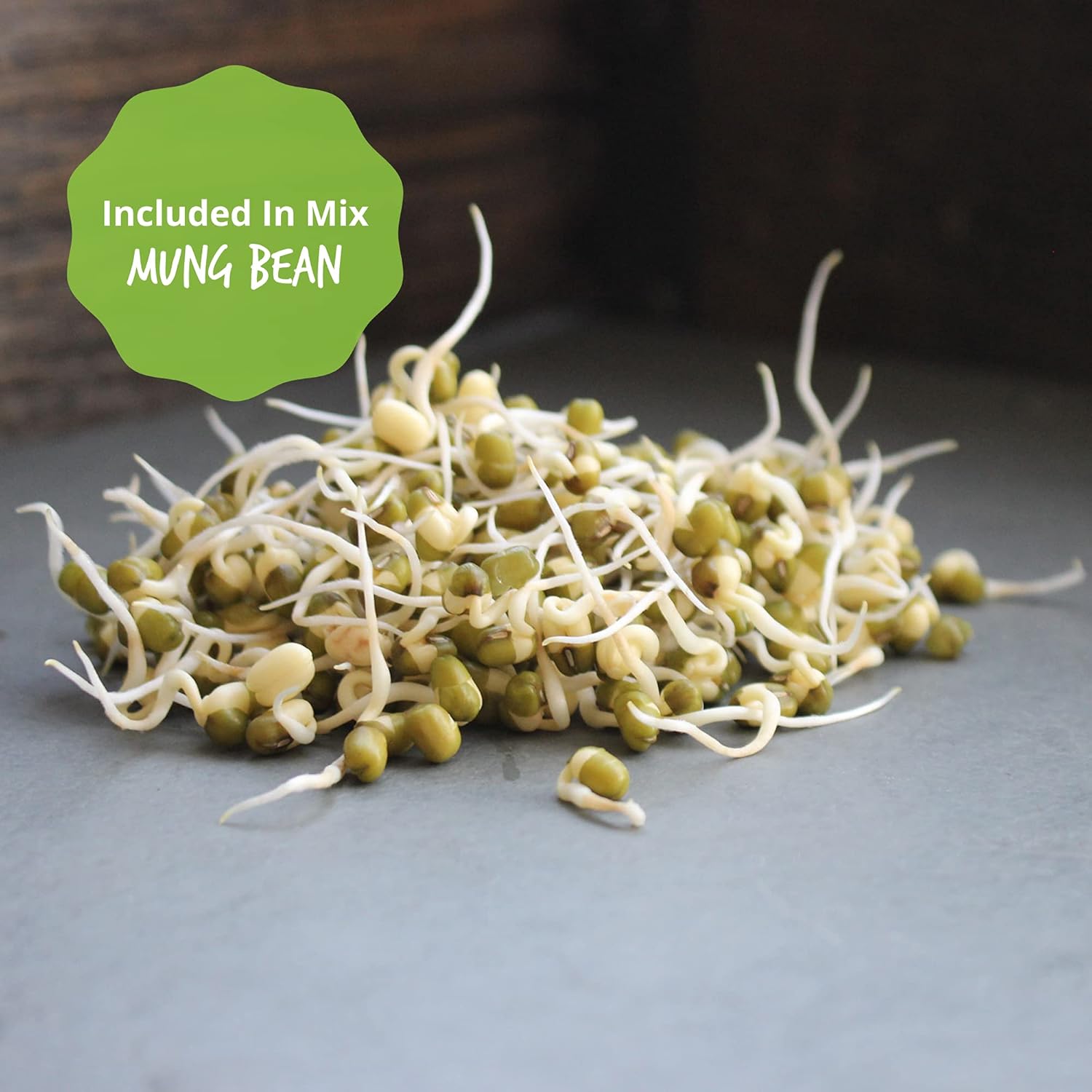 Organic Sprouting Seeds - Handy Pantry Sweet Protein Mix - 35 lb. Bulk Sealed Storage Bucket- Fava Bean, Mung Bean, & Yellow Pea Seeds - High Protein Food for Daily Health or Food Storage