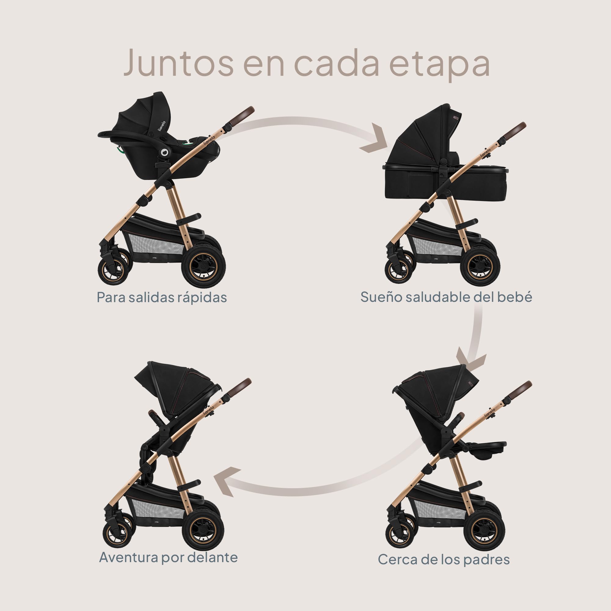 LIONELO Amber Coche de bebé multifuncional 3 en 1 Conjunto silla de paseo con el Asiento de Cubo e Capazo Manillar regulable Bolsa Mosquitero Protector de lluvia Asiento de coche