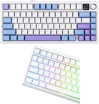 EPOMAKER F75 MAX Wireless Mechanical Keyboard+Glintrix PBT Shine Through Keycaps