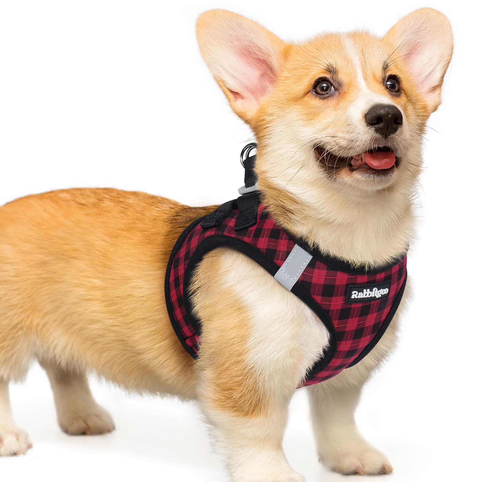 rabbitgoo Hundegeschirr kleine Hunde, Step-in Soft Mesh Hundegeschirr mit Sicherheitsverschluss, atmungsaktives und reflektierendes Welpengeschirr für kleine Hunde
