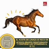 Ver la foto 5