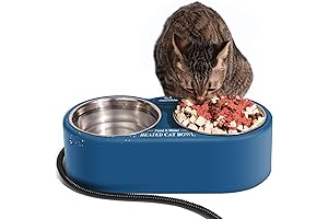 Outdoor Heated Cat Bowl: Non-Freezing Food & Water in Winter