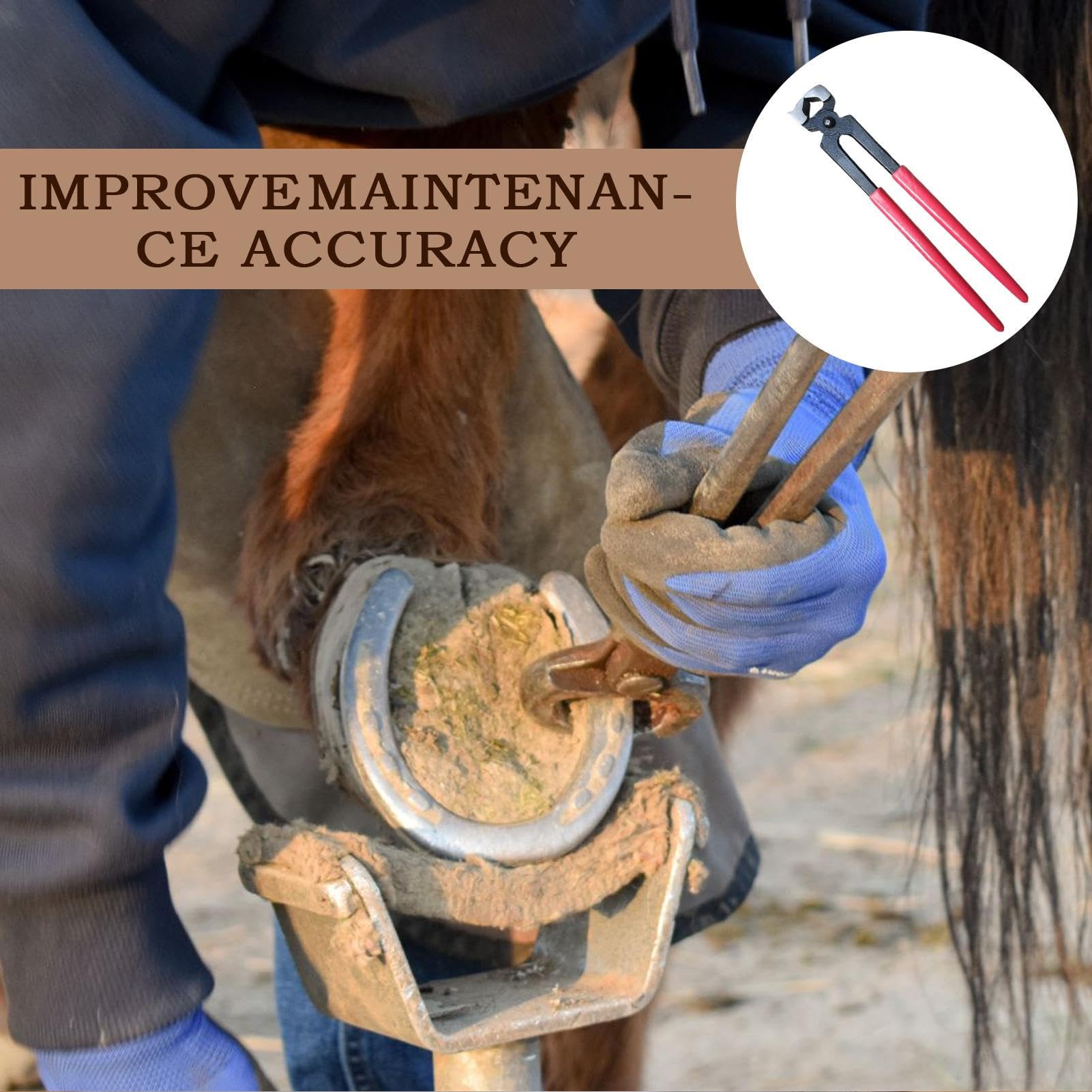 Pinces À Sabot De Cheval | Outils de Maréchal-Ferrant pour Chèvre - Pinces à Parer, Tenaille à Fers et Coupe-Ongles pour Soins des Sabots de Chevaux, Chèvres et Moutons