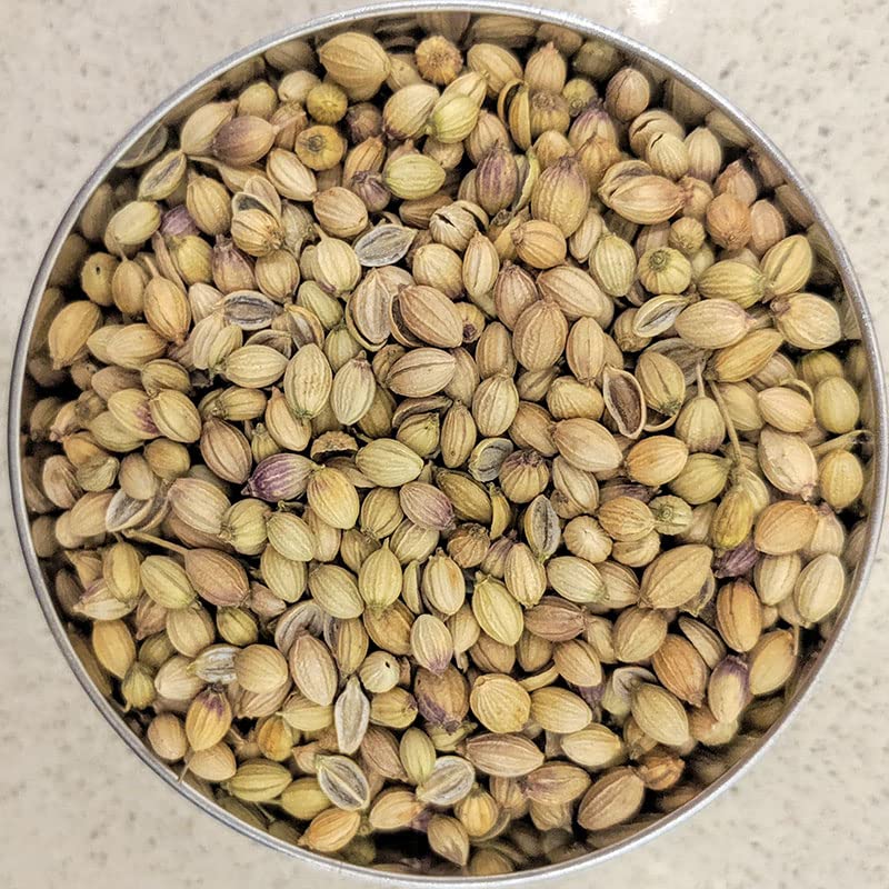 See full amazon price history chart for Nature Spices Premium Coriander Seeds Whole 100Gm (Sabut Dhania, Dhaniya) 100% Pure and Natural Indian Masala Nature Spices Premium Coriander Seeds Whole 100Gm (Sabut Dhania, Dhaniya) 100% Pure and Natural Indian Masala (B0BZRVWD72) Amazon Price History, Amazon Price Tracker