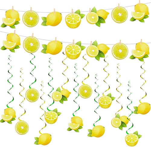 Lewtemi 22 piezas de decoración de fiesta de limón, incluye 2 carteles de limón limonada cítrica, 20 limonadas colgantes de limonada de limón,