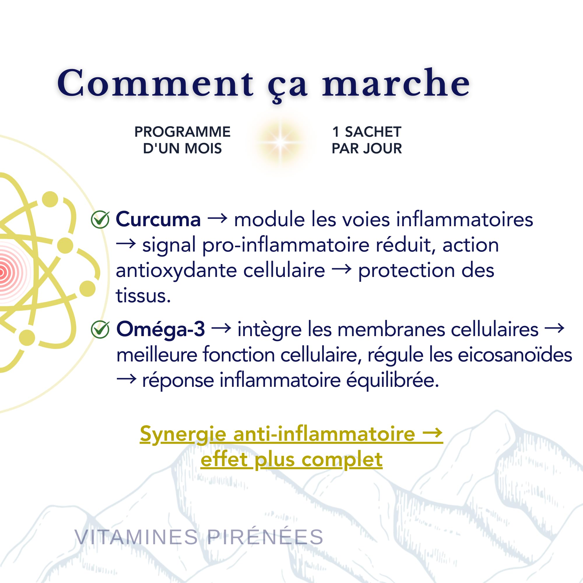 Oméga-3 et Curcuma avec Gingembre et Poivre Noir – Sans OGM, PHYTO GUIDE | Formule essentielle pour le soutien immunitaire, réduit l’inflammation et aide le corps à rester en équilibre | 56 Doses Quot