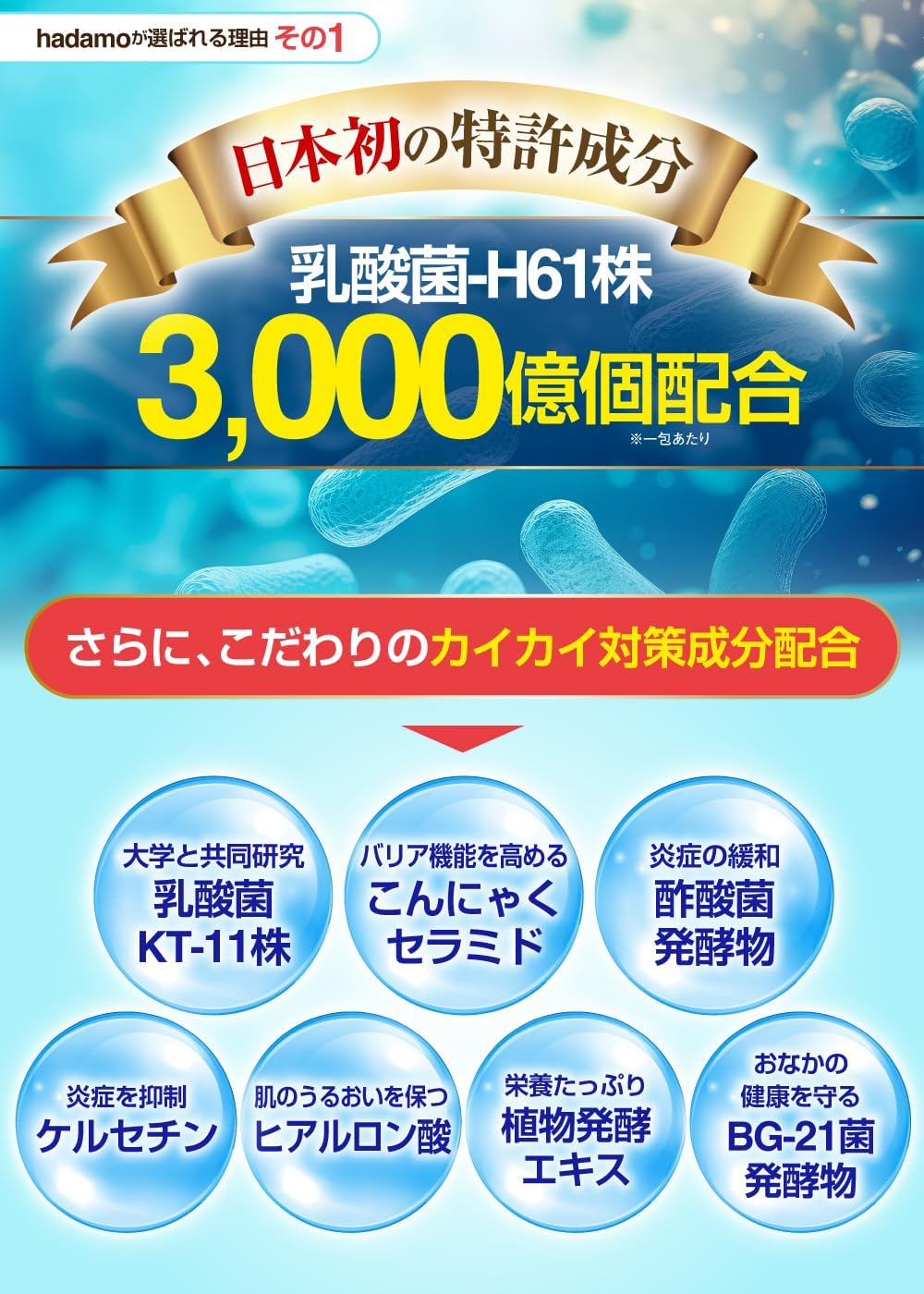 Amazon | 【獣医師監修】 hadamo 犬用 メディカルスティック 犬 サプリ